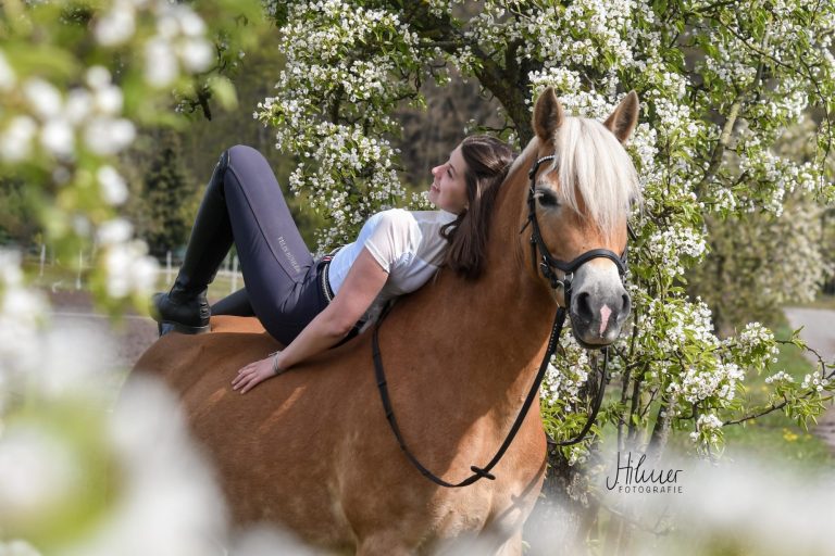 Jessi und Finni, Haflinger, Apfelblüte, Fotoshooting, Pferdefotografie, Jana Hilmer Fotografie