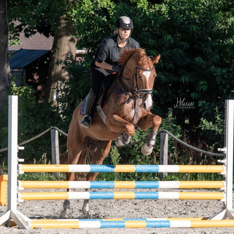 Springreiten Pferdefotografie